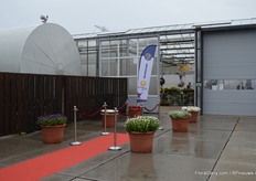 Op de locatie van Green’05 stonden ook Brandkamp, Butterfly Garden en Varinova. Ook zei presenteerde verschillende soorten.